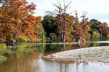Kerrville TX Nov 2019